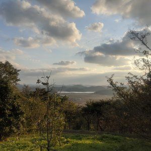 Meet your Posher, BONJOUEUR